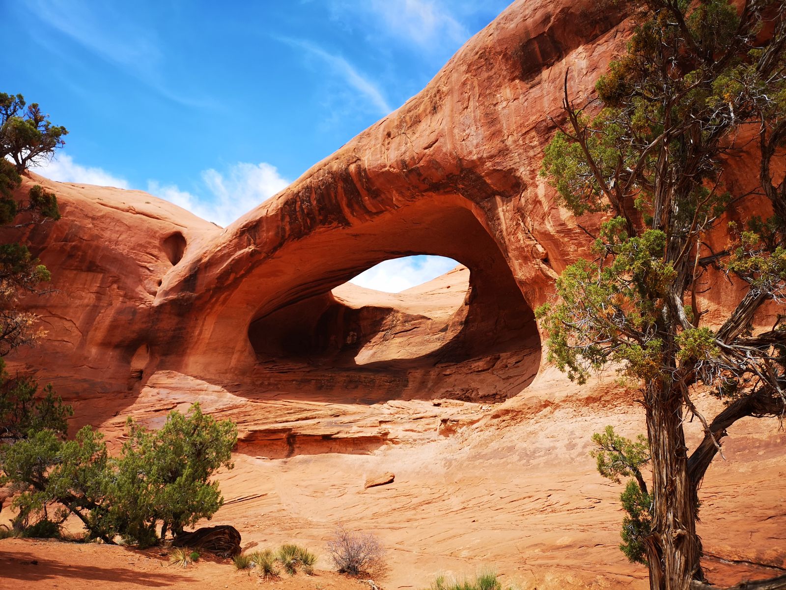A natural sandstone arch framing blue sky among desert shrubs